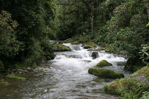 Come Travel To Costa Rica With Us.... 3775976 f520 Come Travel To Costa Rica With Us....